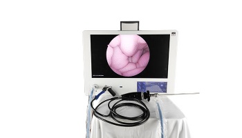 19inch portable endoscopy camera system